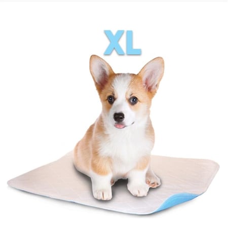 Lennypads 28 x 32 in. Extra Large Washable Pet Pad - White LE328897